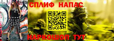 гашик Ставрополь