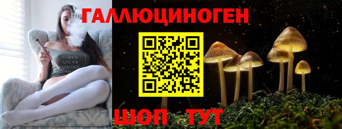 Нефтекумск  Галлюциногенные грибы GOLDEN TEACHER  Псилоцибиновые грибы MAGIC MUSHROOMS  Вход с VPN 